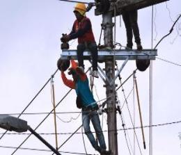 PLN Pekanbaru melakukan pemeliharaan jaringan listrik (foto/int)